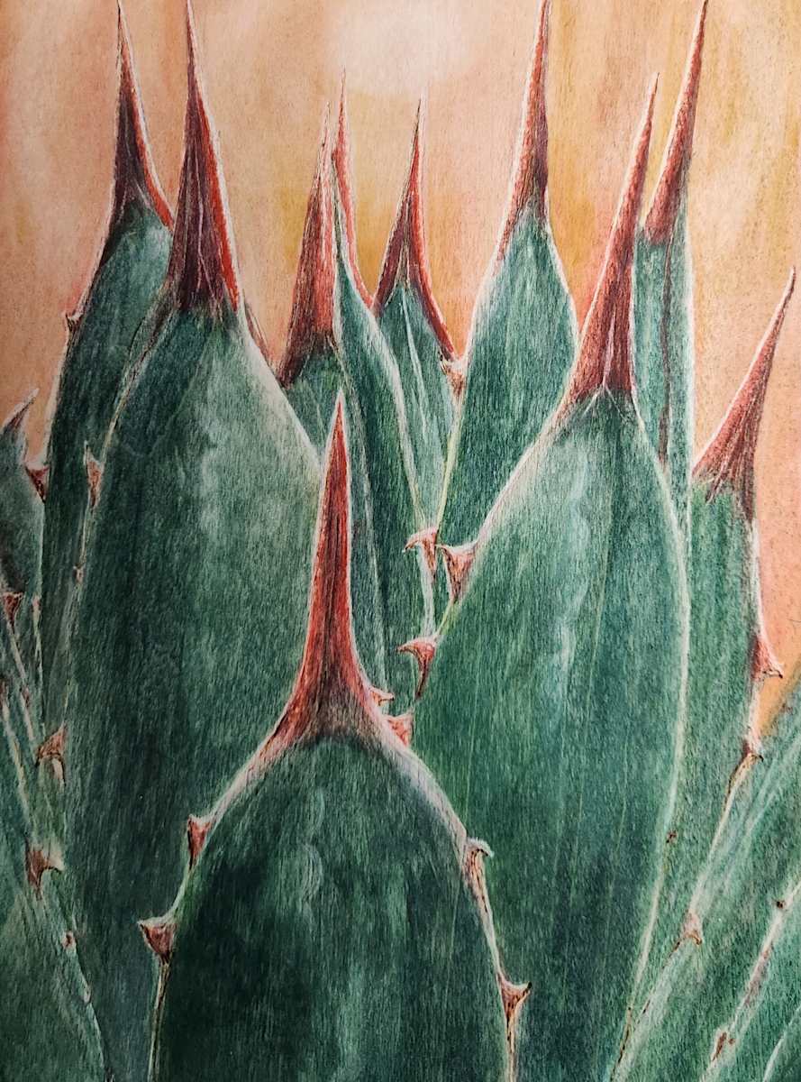 Agave Sunrise by Joy Grant, Image 1.