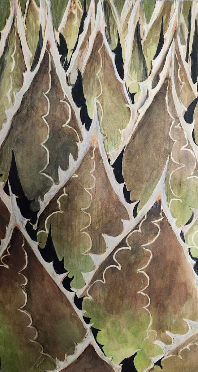 Agave Shadows by Joy Grant 