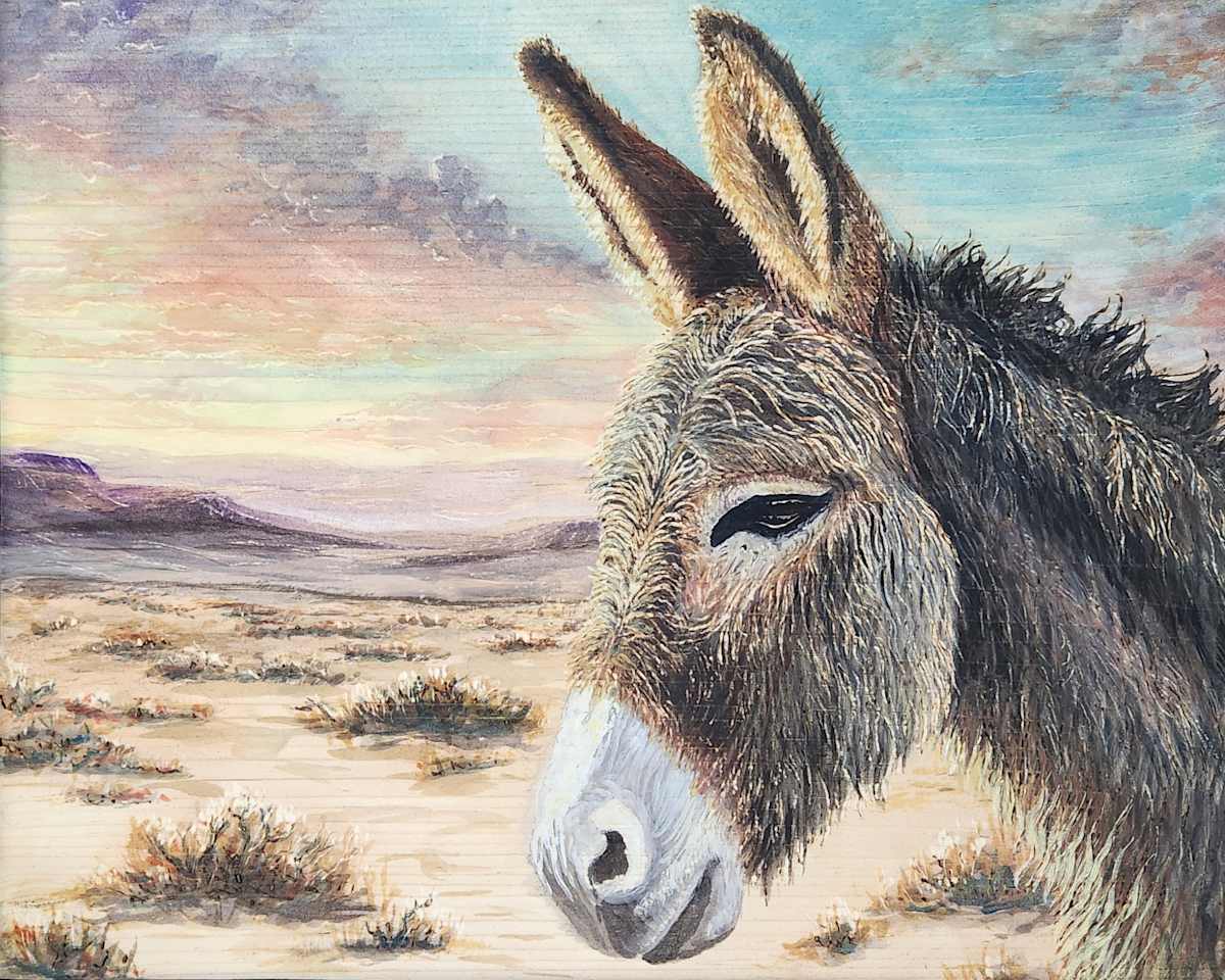 Wild Burro Wilderness by Joy Grant 