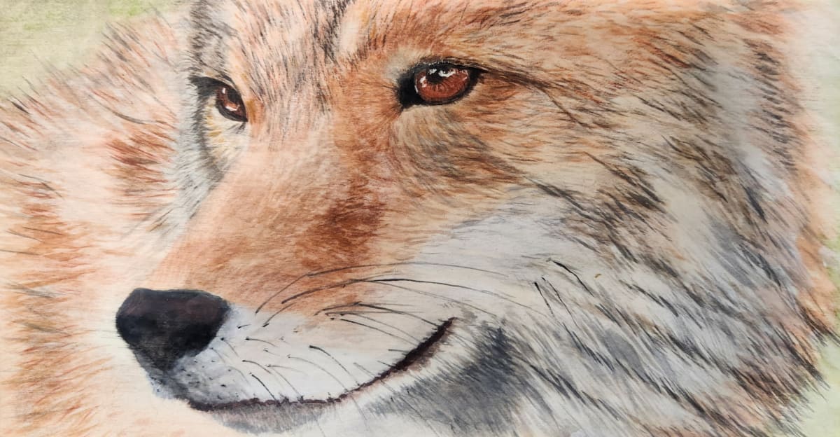 Coyote by Joy Grant, Image 1.