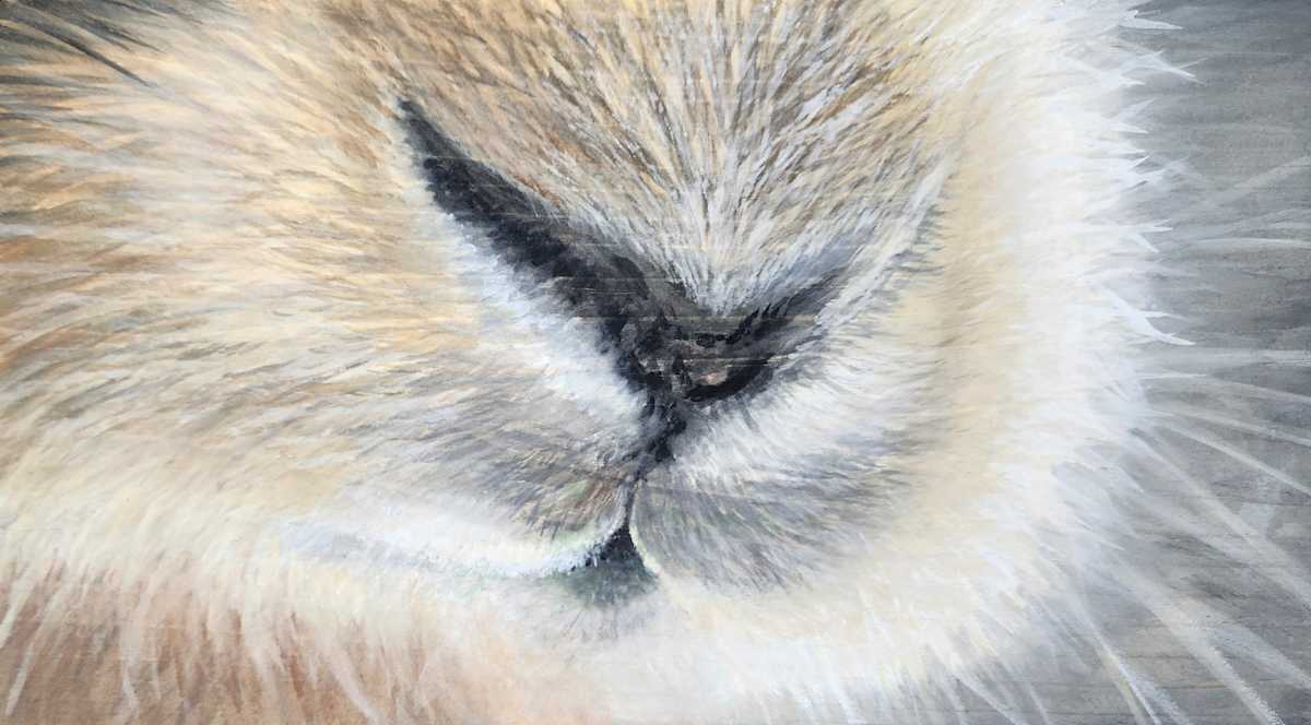 Green Pasture Morning by Joy Grant 