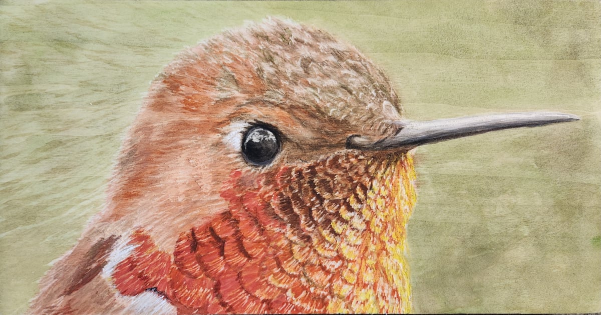 Humming bird by Joy Grant 