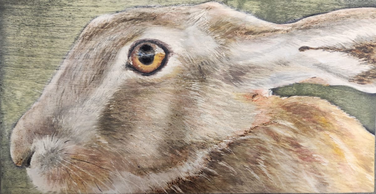 Jackrabbit by Joy Grant 