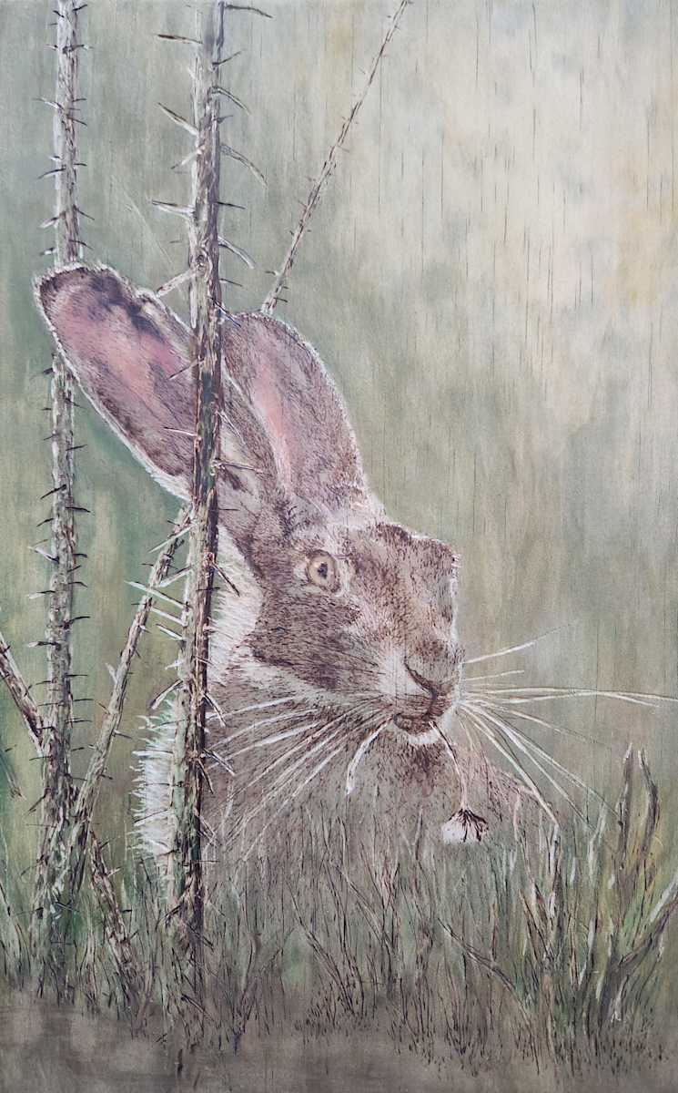 Jackrabbit Morning by Joy Grant 