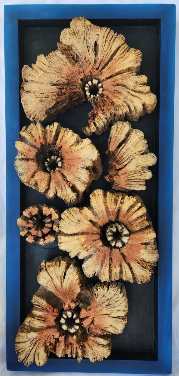 Ombrecholla by Joy Grant 