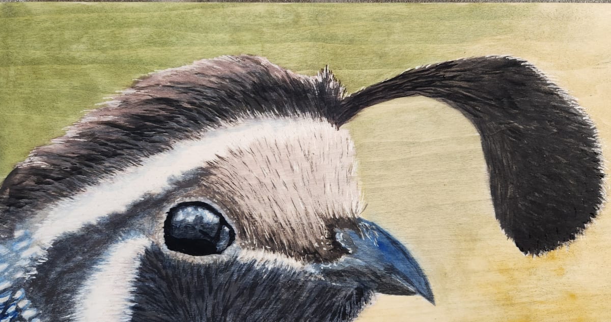 Quail by Joy Grant, Image 1.
