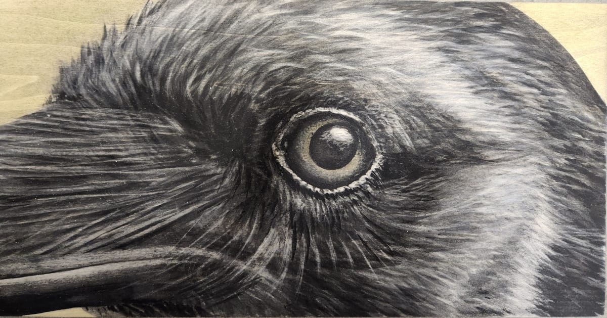 Raven by Joy Grant, Image 1.