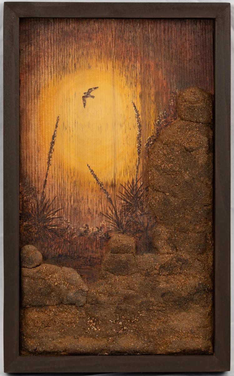 Nighthawk by Joy Grant 