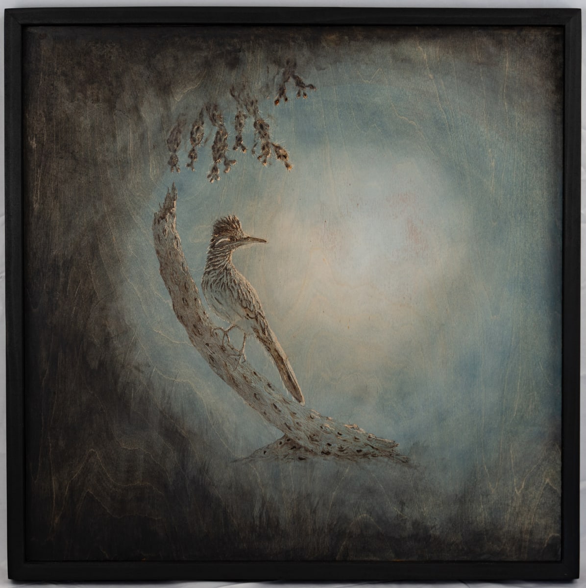 Roadrunner Perch by Joy Grant, Image 2.