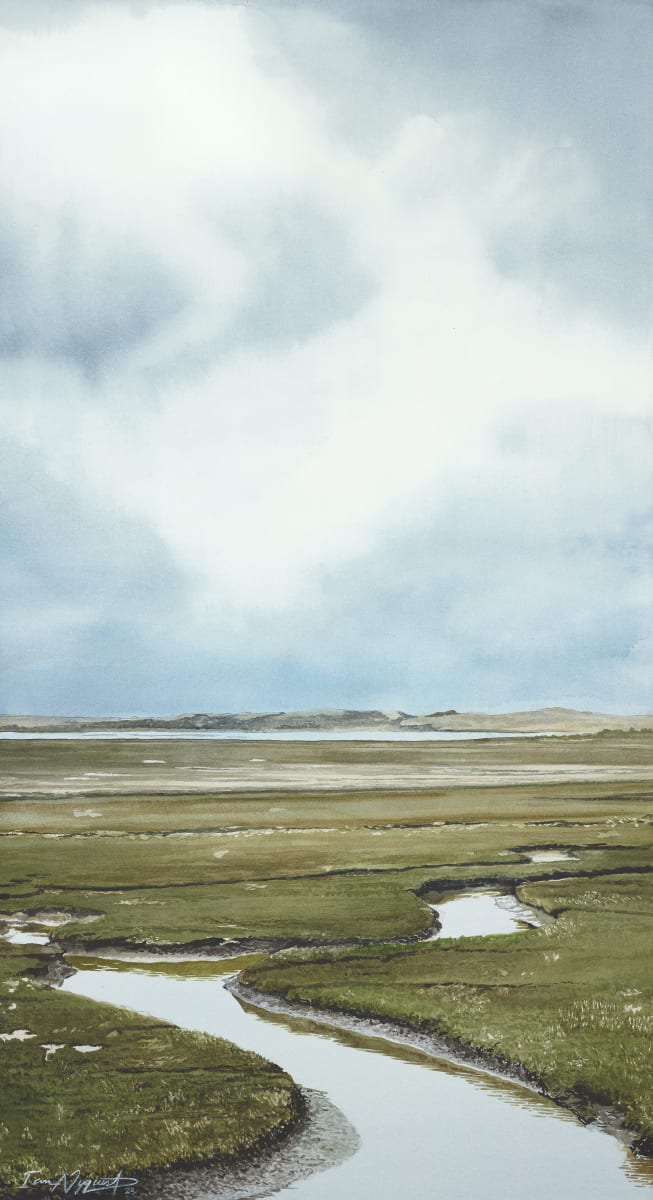 Through the Marsh by Ian Nyquist 