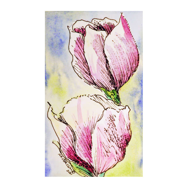 Tulip Duet II by Helena Kuttner-Giasson 