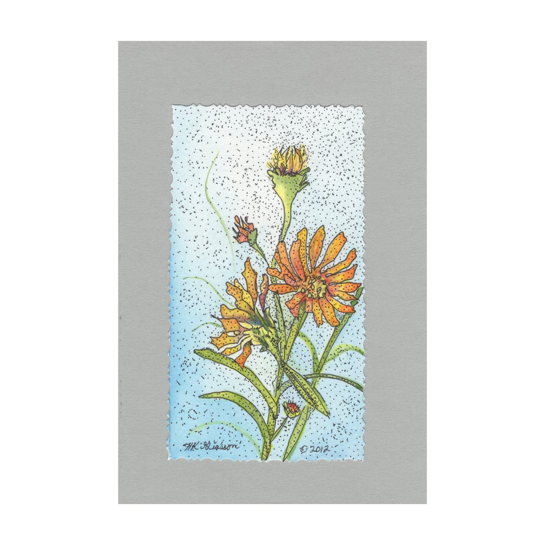 Daisy Dance 4 by Helena Kuttner-Giasson  Image: Daisy Dance 4 is a watercolor floral painting of a group of orange wild daisy flowers