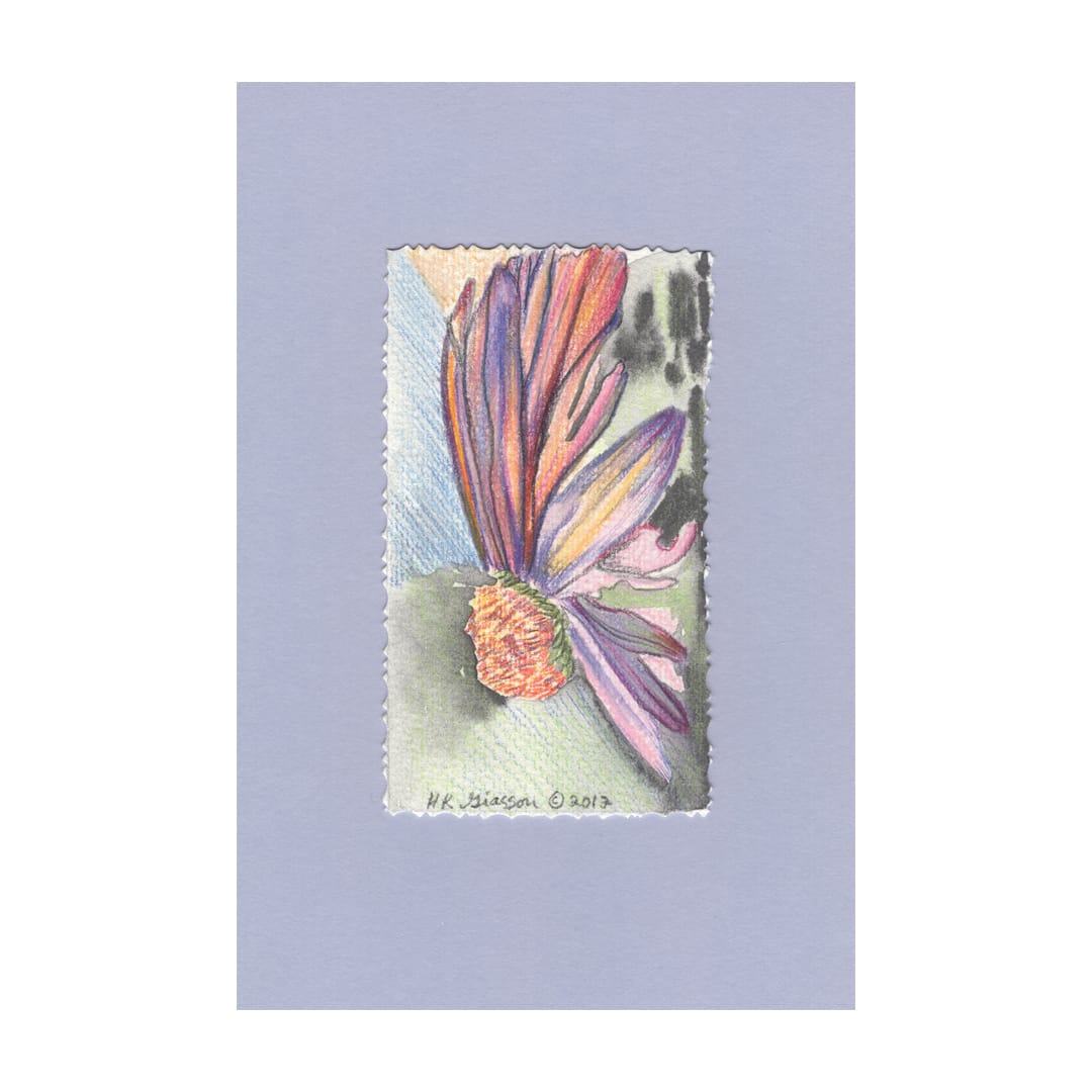 Flower Fiesta by Helena Kuttner-Giasson 