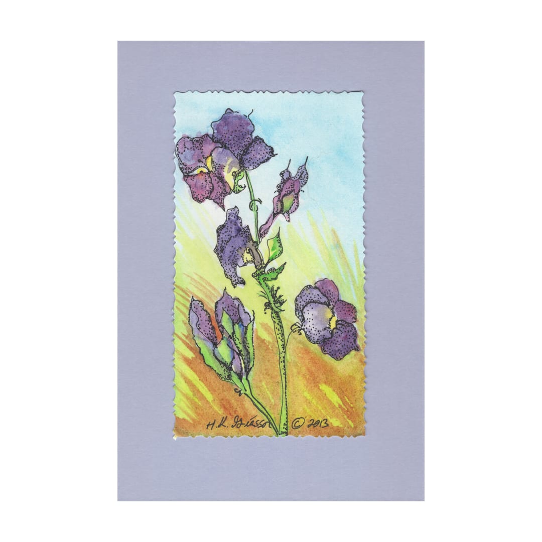 Autumn Violets Floral Watercolor Painting by Helena Kuttner-Giasson  Image: Autumn Violets Floral Watercolor Painting