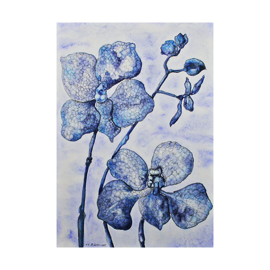 Blue Mist Orchid by Helena Kuttner-Giasson 
