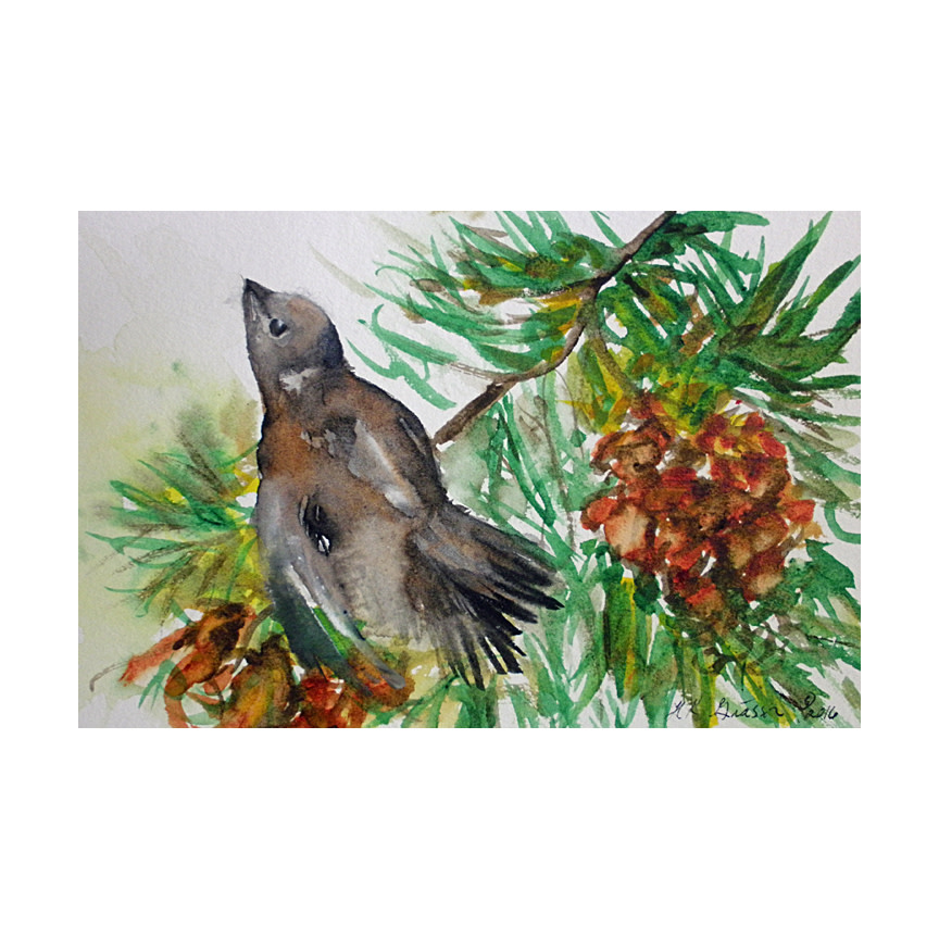 Pine Bird by Helena Kuttner-Giasson 