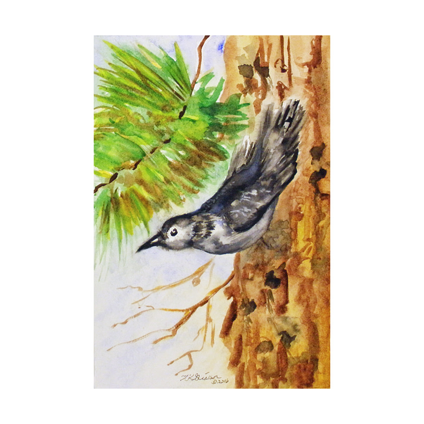 Pine Bird II by Helena Kuttner-Giasson 