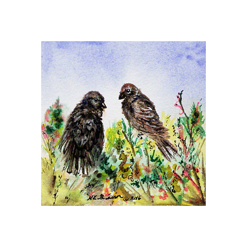 Ruffled by Helena Kuttner-Giasson 
