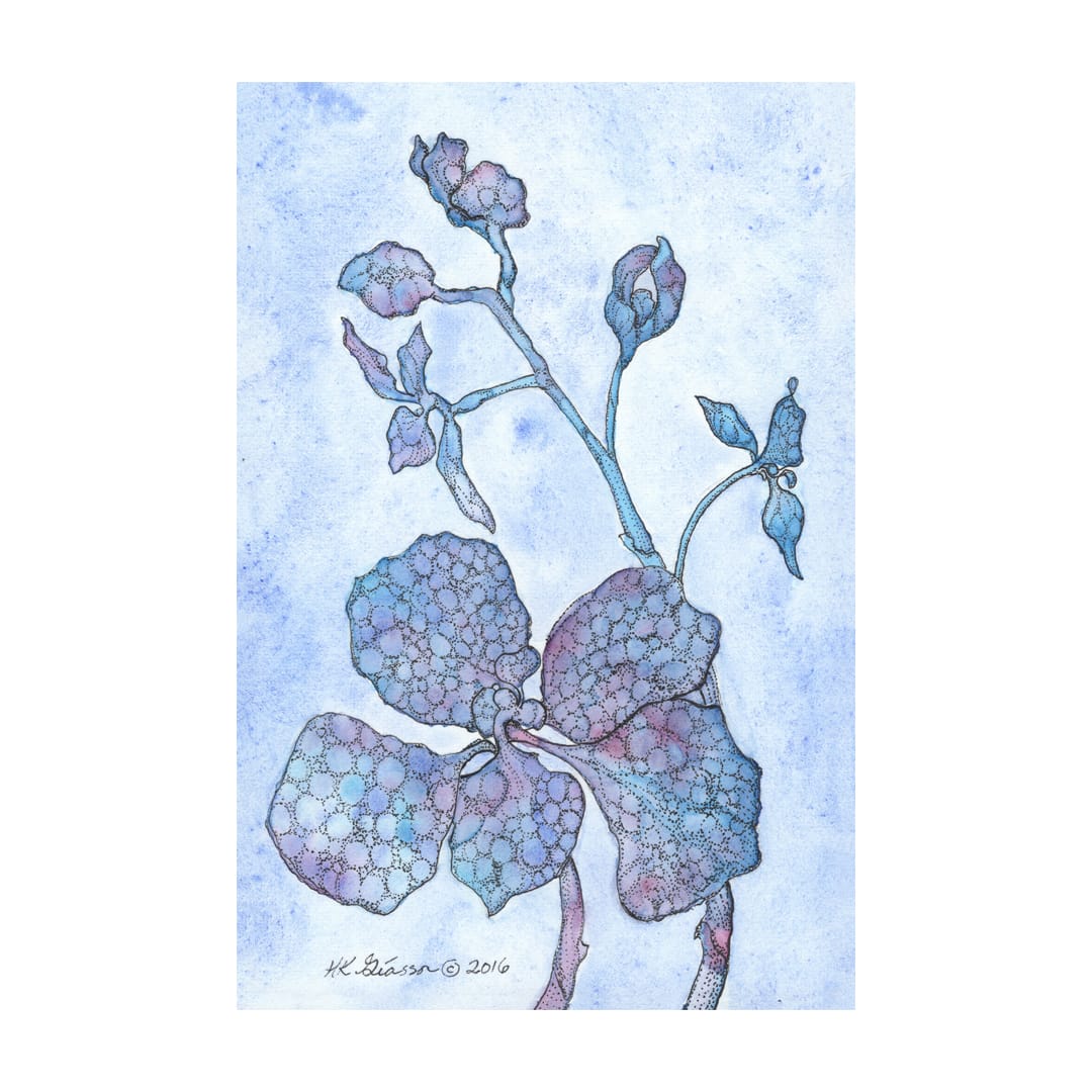Blue Orchid 2 Floral Watercolor Painting by Helena Kuttner-Giasson  Image: Blue Orchid 2 Floral Watercolor Painting