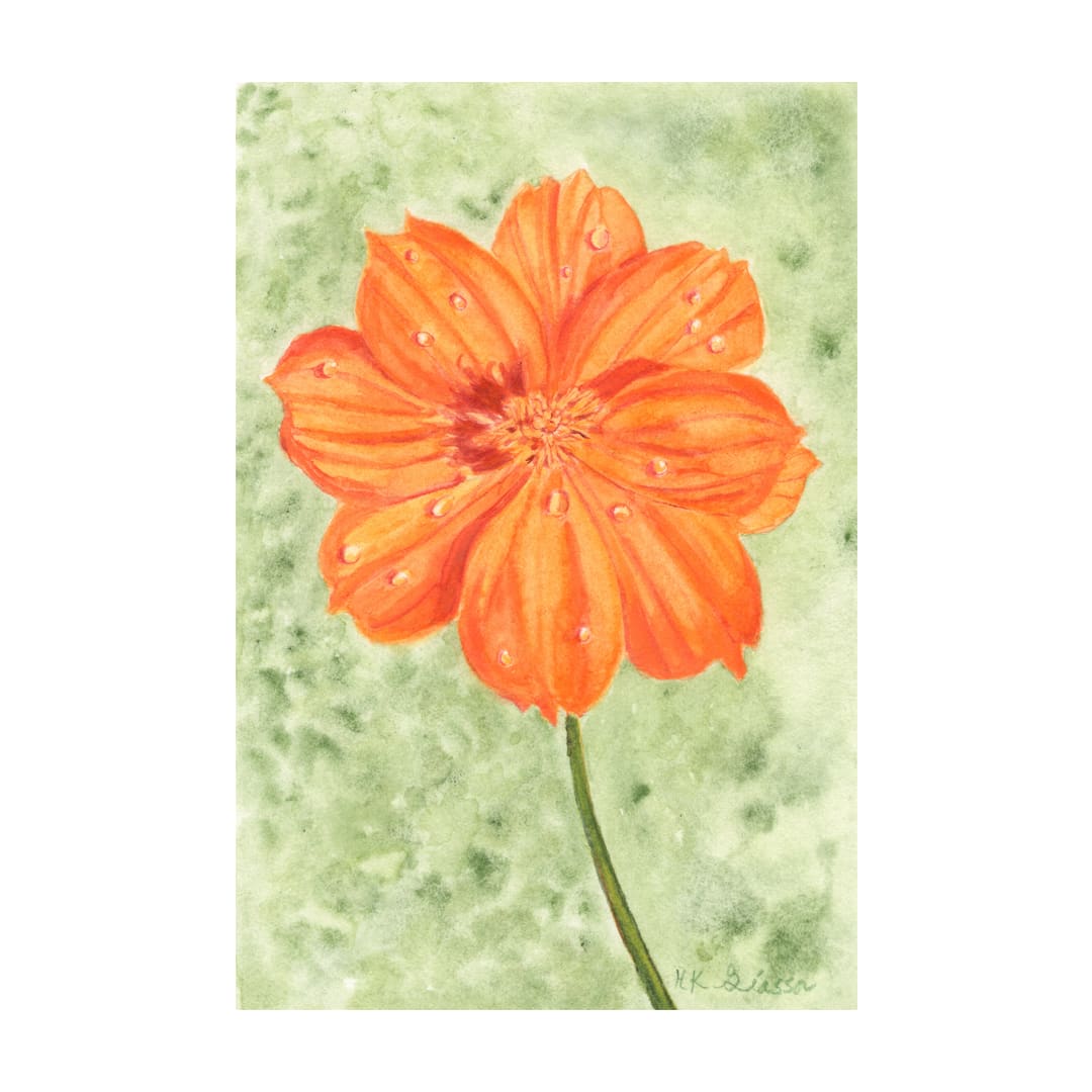 Orange Wildflower by Helena Kuttner-Giasson 