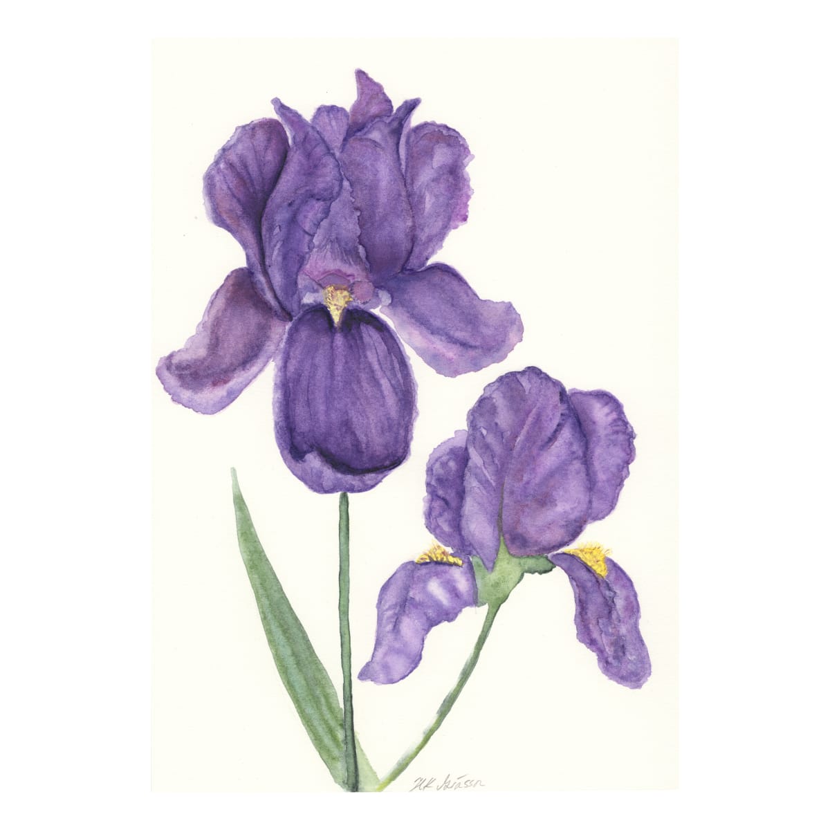 Purple Iris Pair by Helena Kuttner-Giasson 