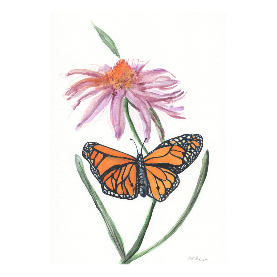 Diane's Butterfly by Helena Kuttner-Giasson  Image: Diane's Monarch