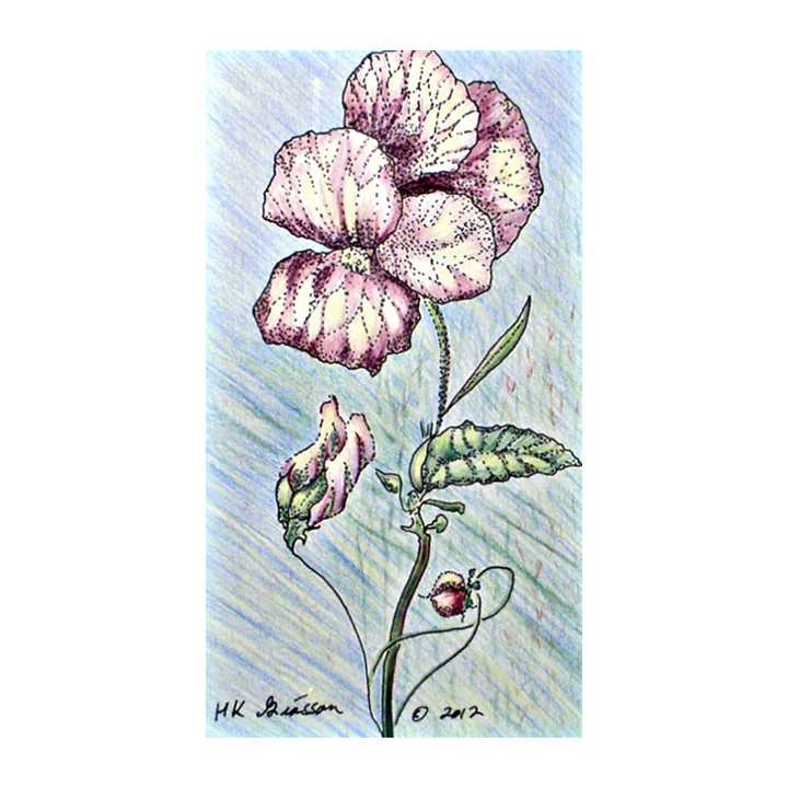Violet Solo by Helena Kuttner-Giasson, Image 1.