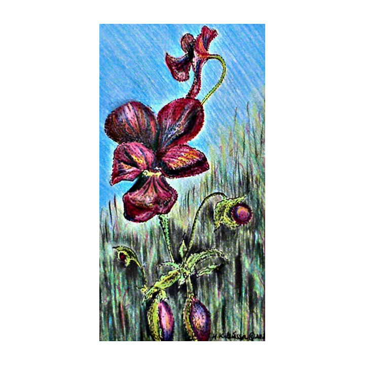 Violets At Midnight by Helena Kuttner-Giasson, Image 1.