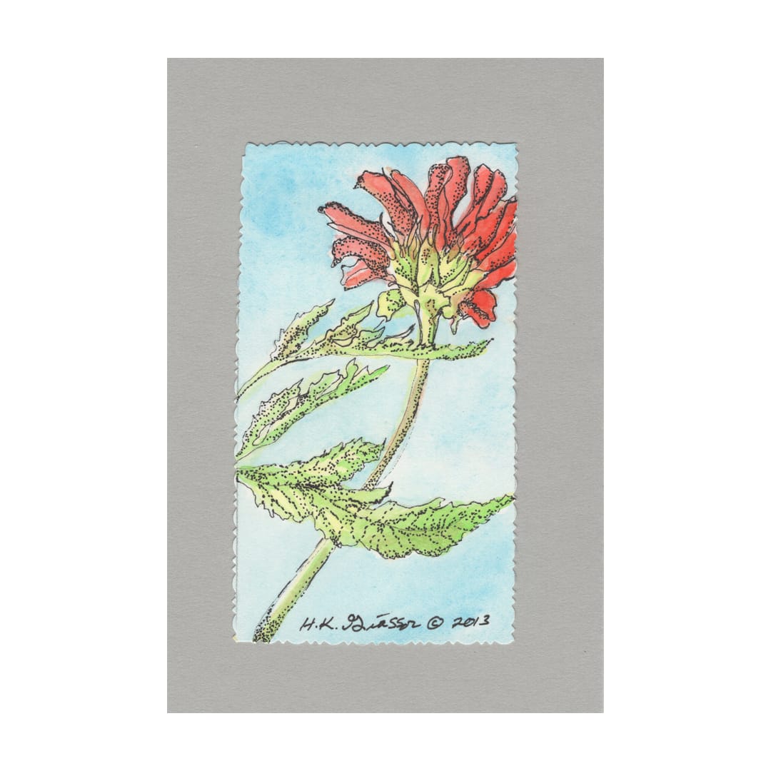 Sunflower Song 6 Floral Painting by Helena Kuttner-Giasson  Image: Sunflower Song 6 Floral Painting