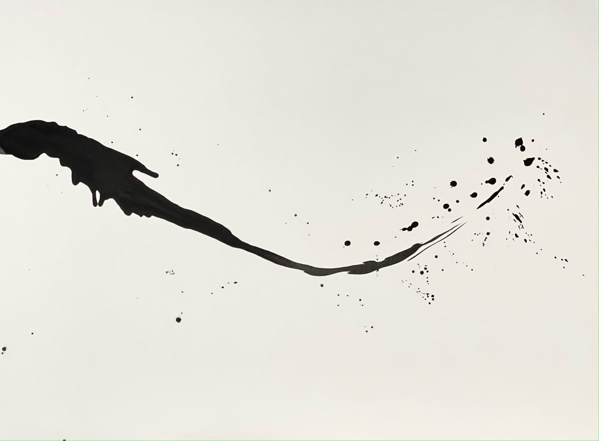 Soar by Jayn Anderson 