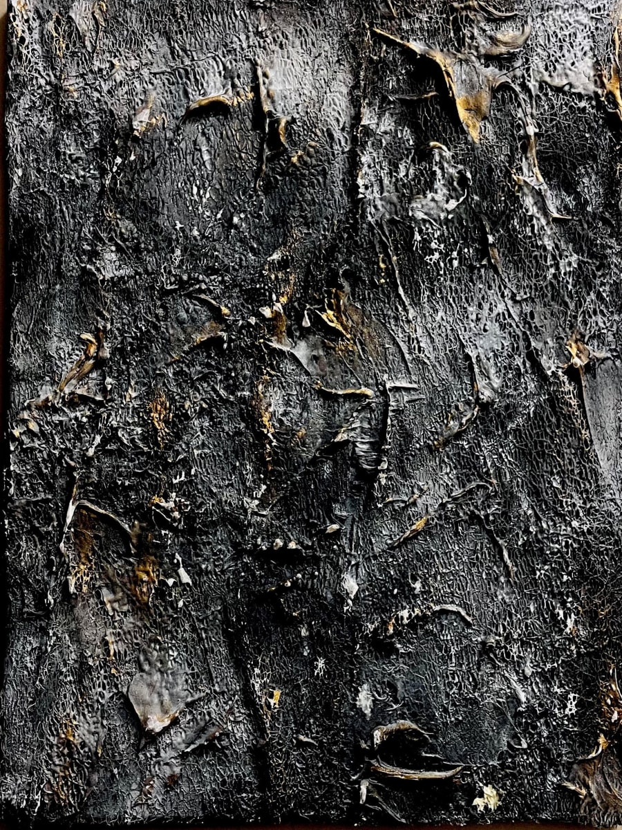 Long Black Veil by Jayn Anderson 