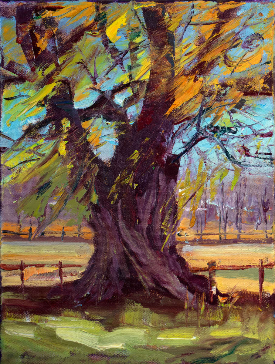 Willow Awakening by MICHELE BYRNE 