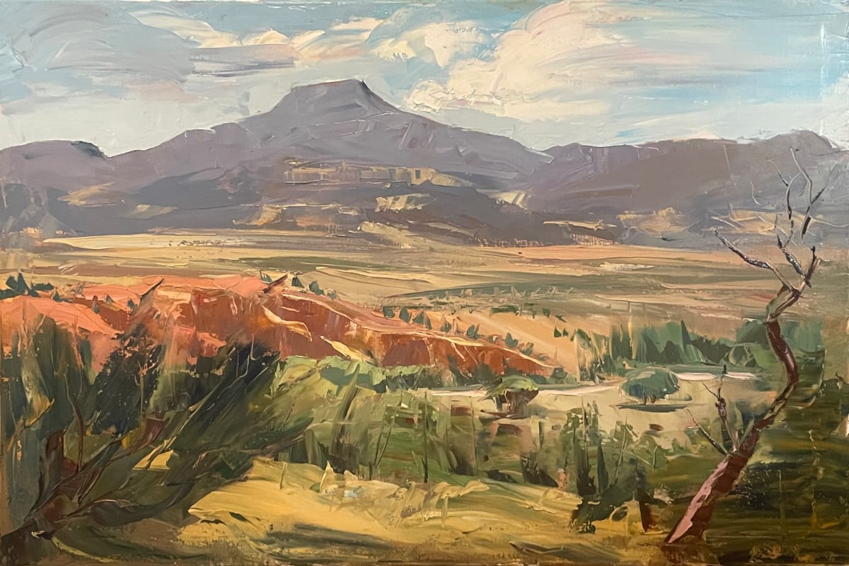 Pedernal Blues by MICHELE BYRNE 