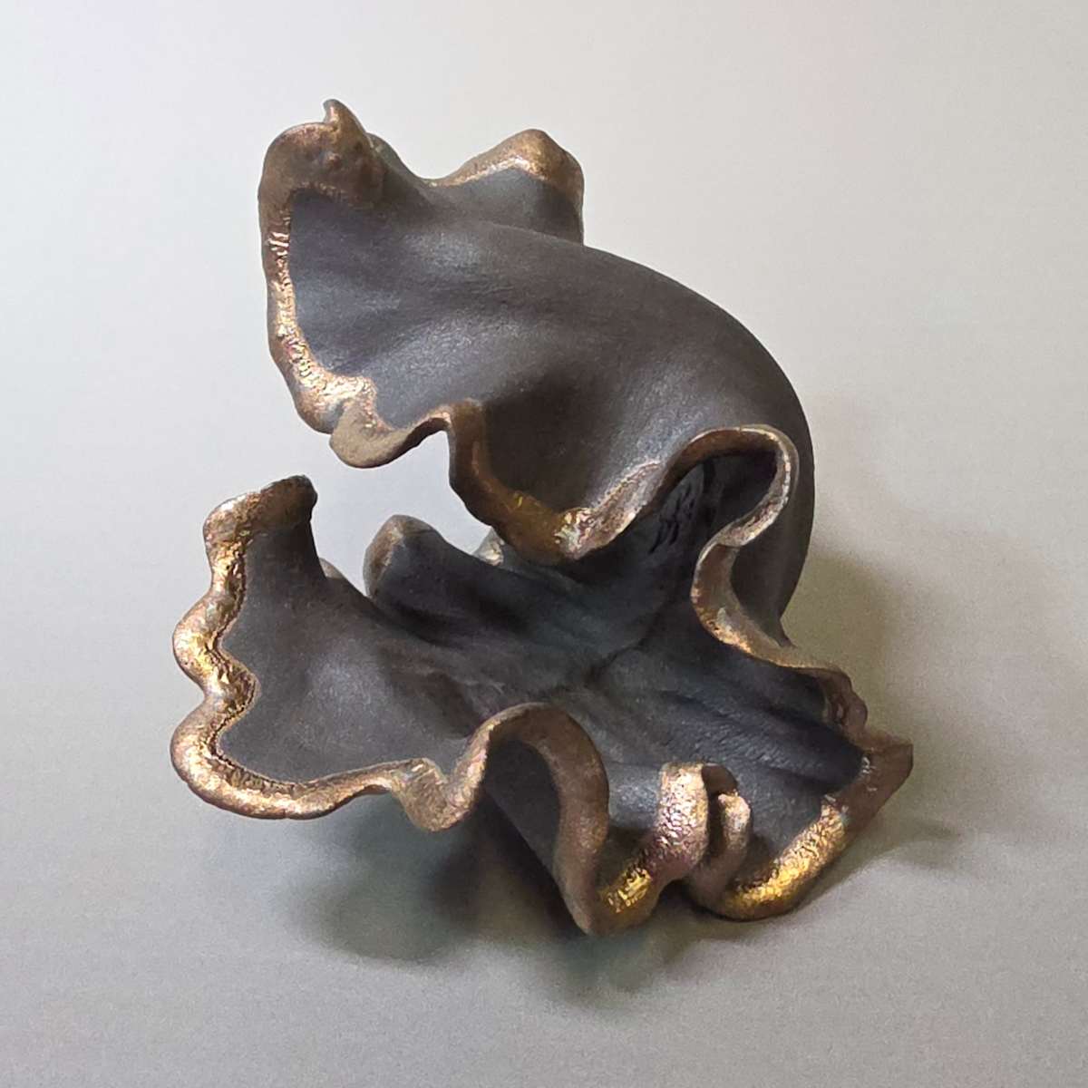 Liminal Crest by Sylvie Pool Alvarez, Image 1.