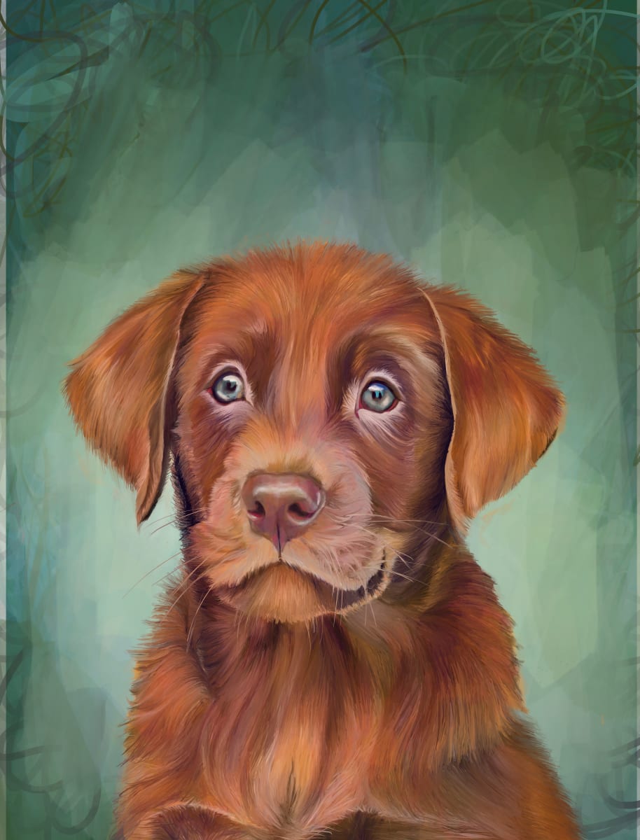 Pretty Petunia by Carolyn Wonders  Image: Pretty Petunia Close Up