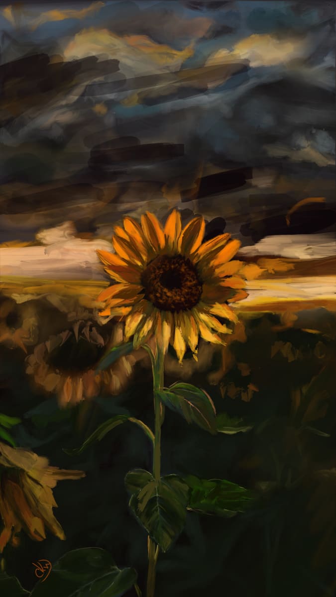 Ukrainian Sunflower (Digital Version) by Carolyn Wonders  Image: Ukrainian Sunflower Close Up