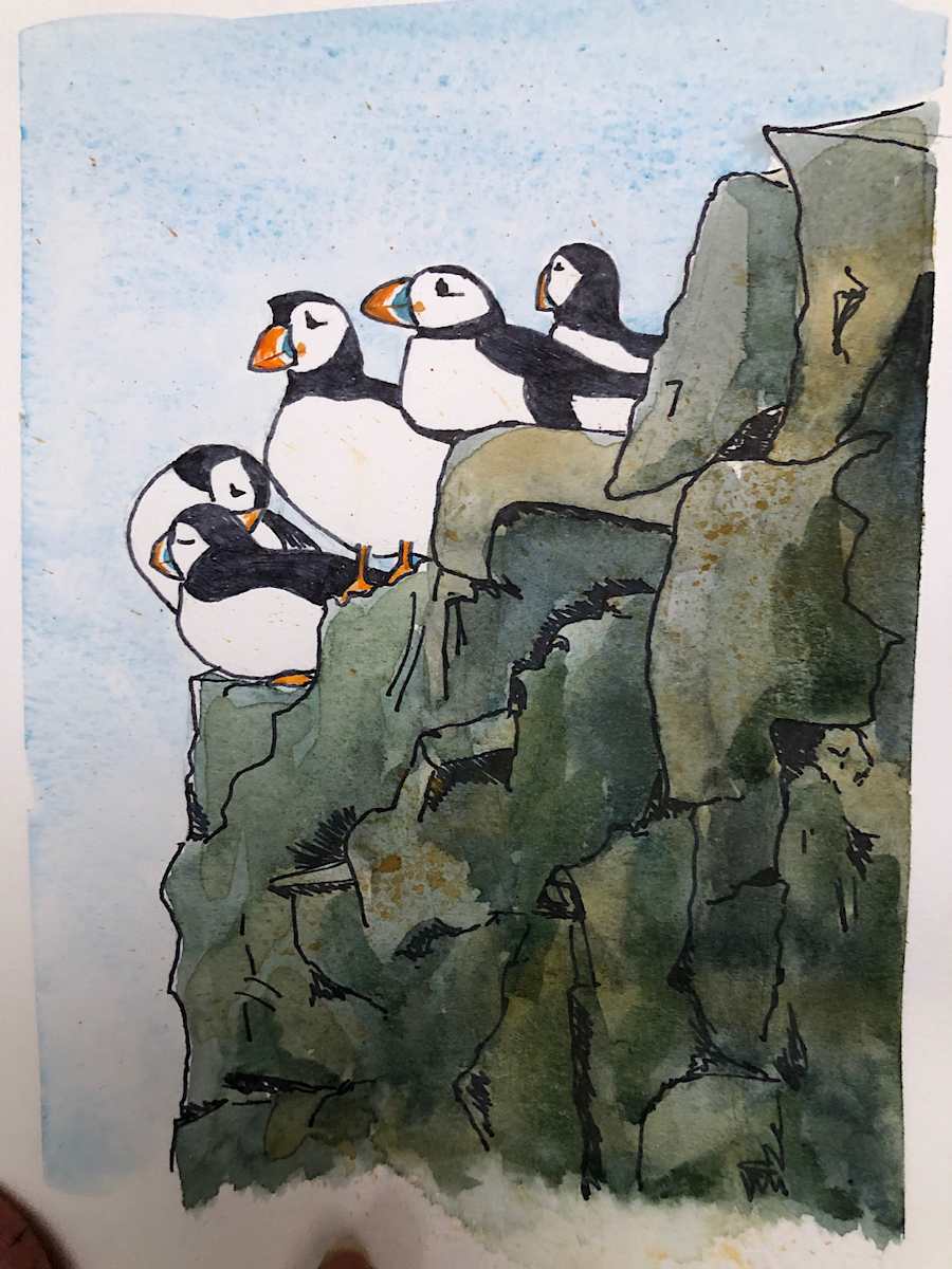 Puffins on sea cliff by Paula Jobson  Image: Five puffins roosting on a green cliff edge 