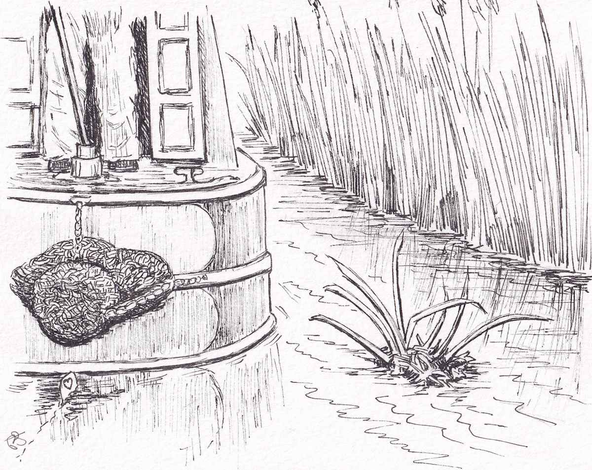 Dodging Reeds by Paula Jobson 