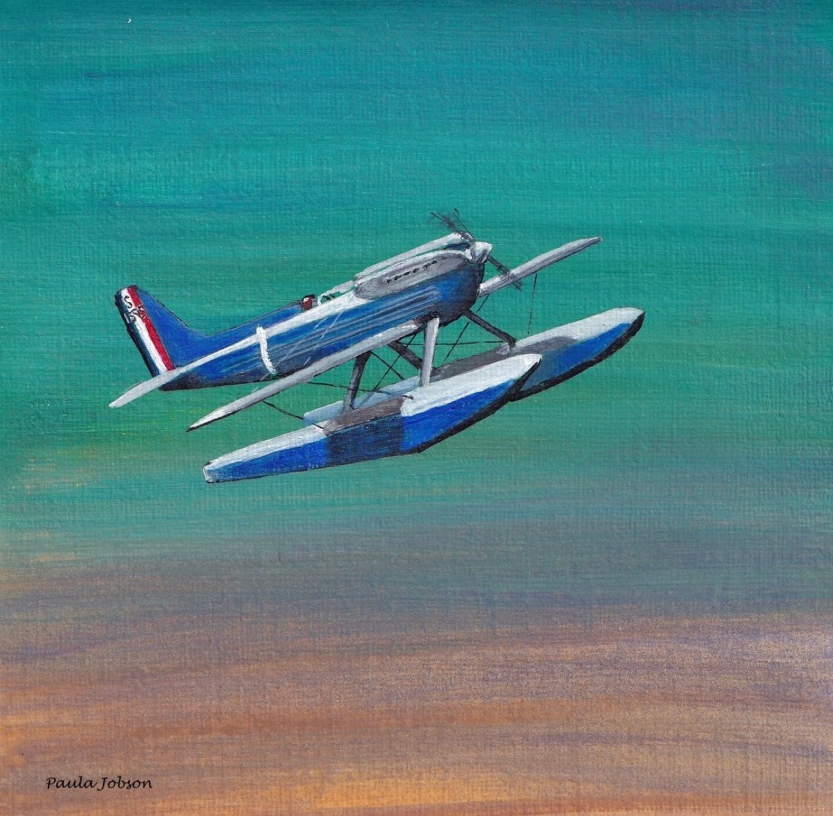 Supermarine S.6B - Racing Sea Plane by Paula Jobson 