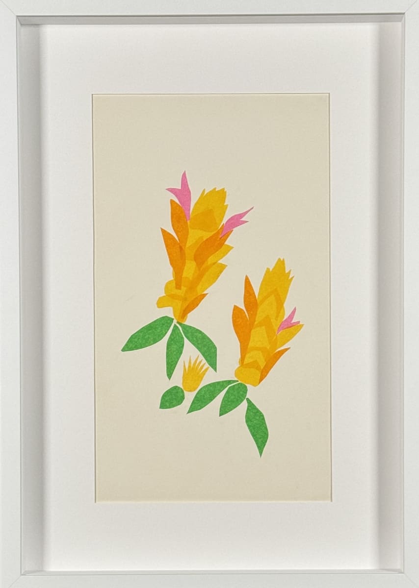 Vera Makes a Tropical Collage by Vera Neumann 