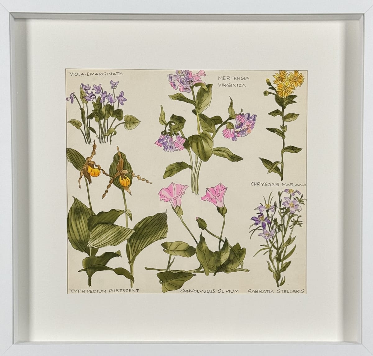 Vera Paints a Victorian Garden by Vera Neumann 