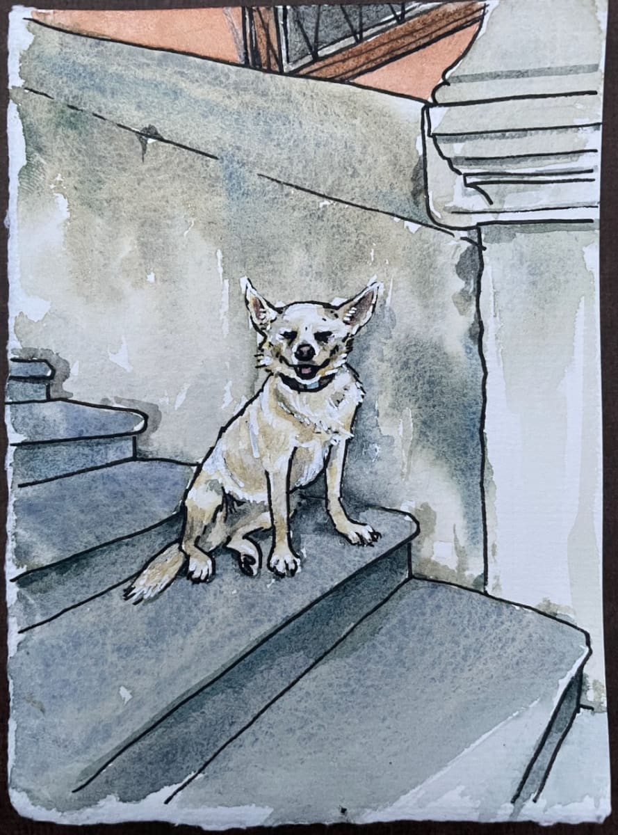 Amalfi Doggie by curtis bay 