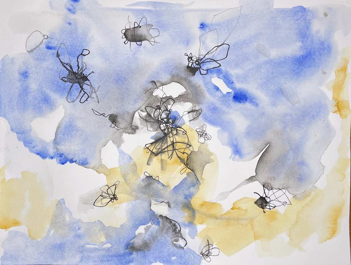 Moths 5 by curtis bay 