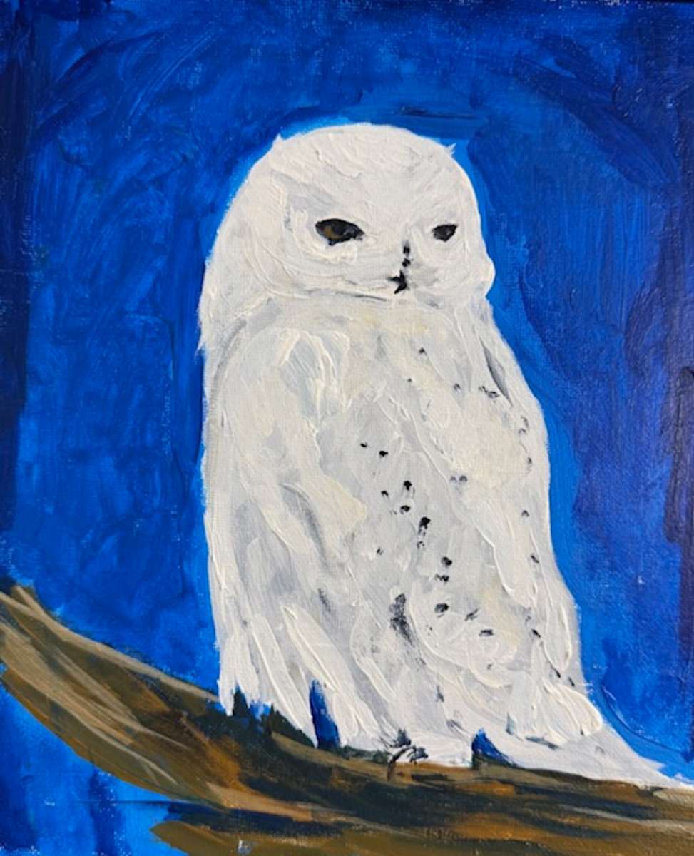 Polar Owl by Catherine Carroll Kolecki, Image 1.