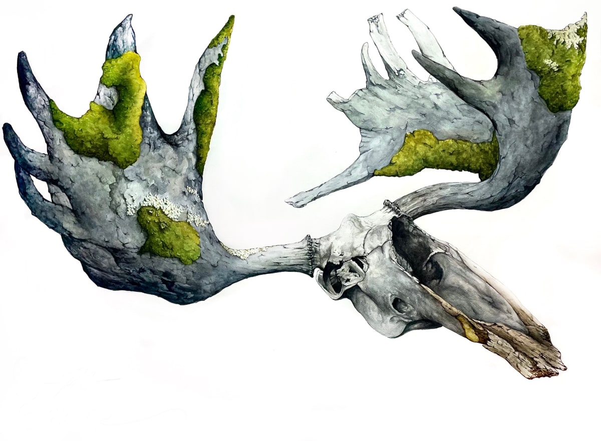Moss Moose by Rebecca Case  Image: Moose skull turning into rock and log covered in moss. 