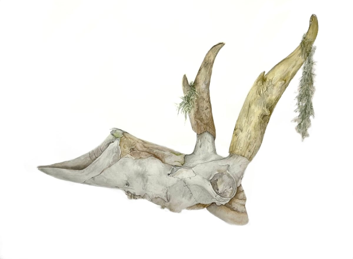 These Hooves Were Made for Walking. by Rebecca Case, Image 1.