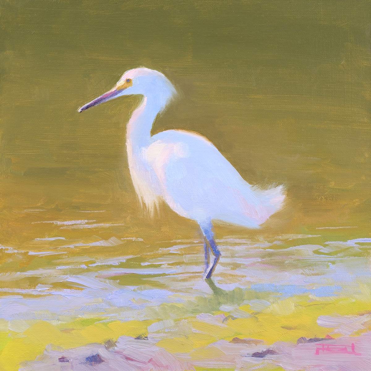 Bodega Bay Local by Dan Rogers 
