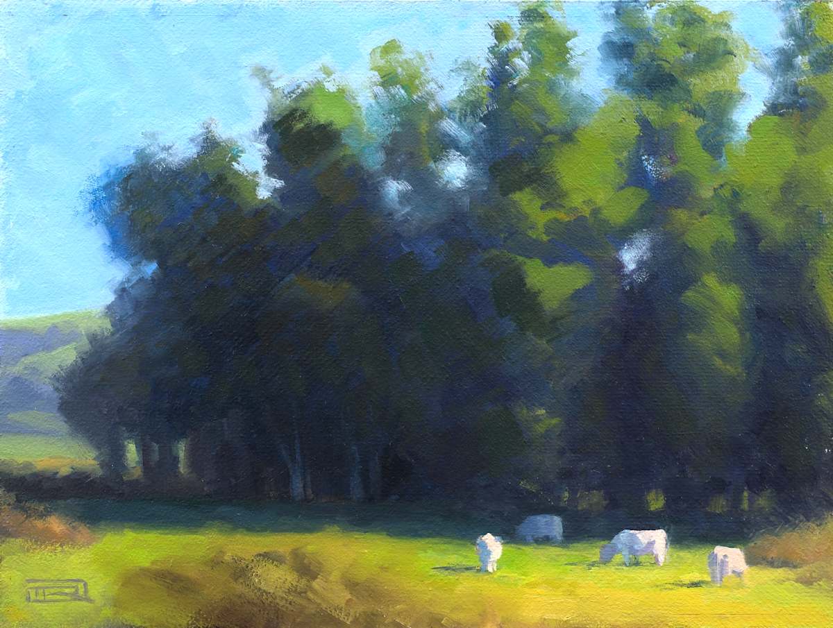 Cows for Scale by Dan Rogers 