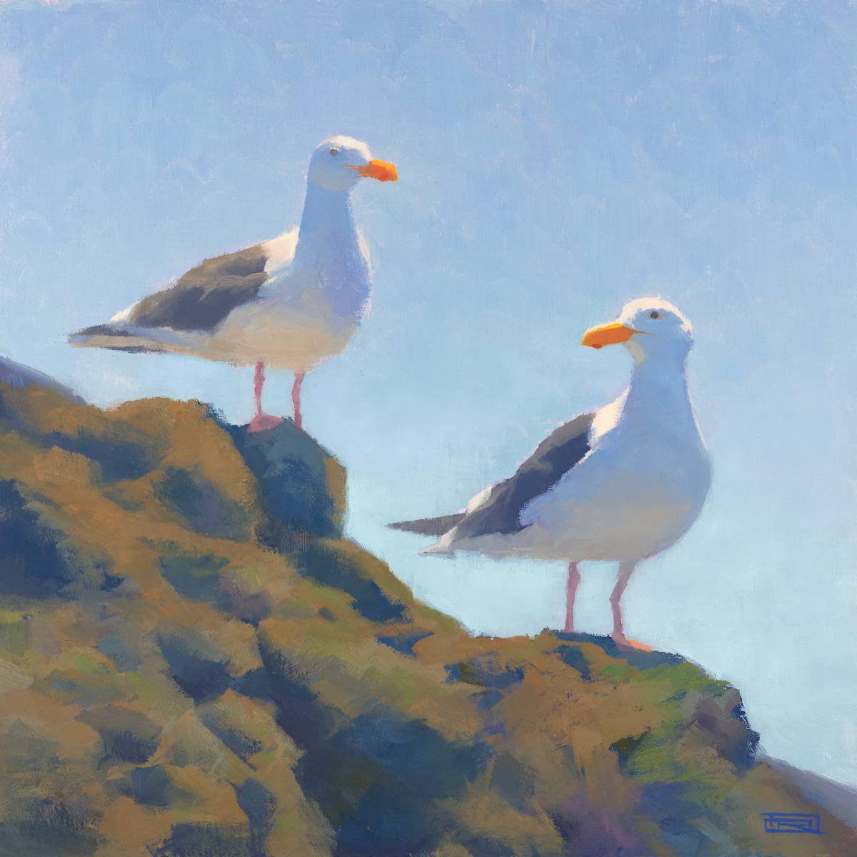 Gull Friends by Dan Rogers 