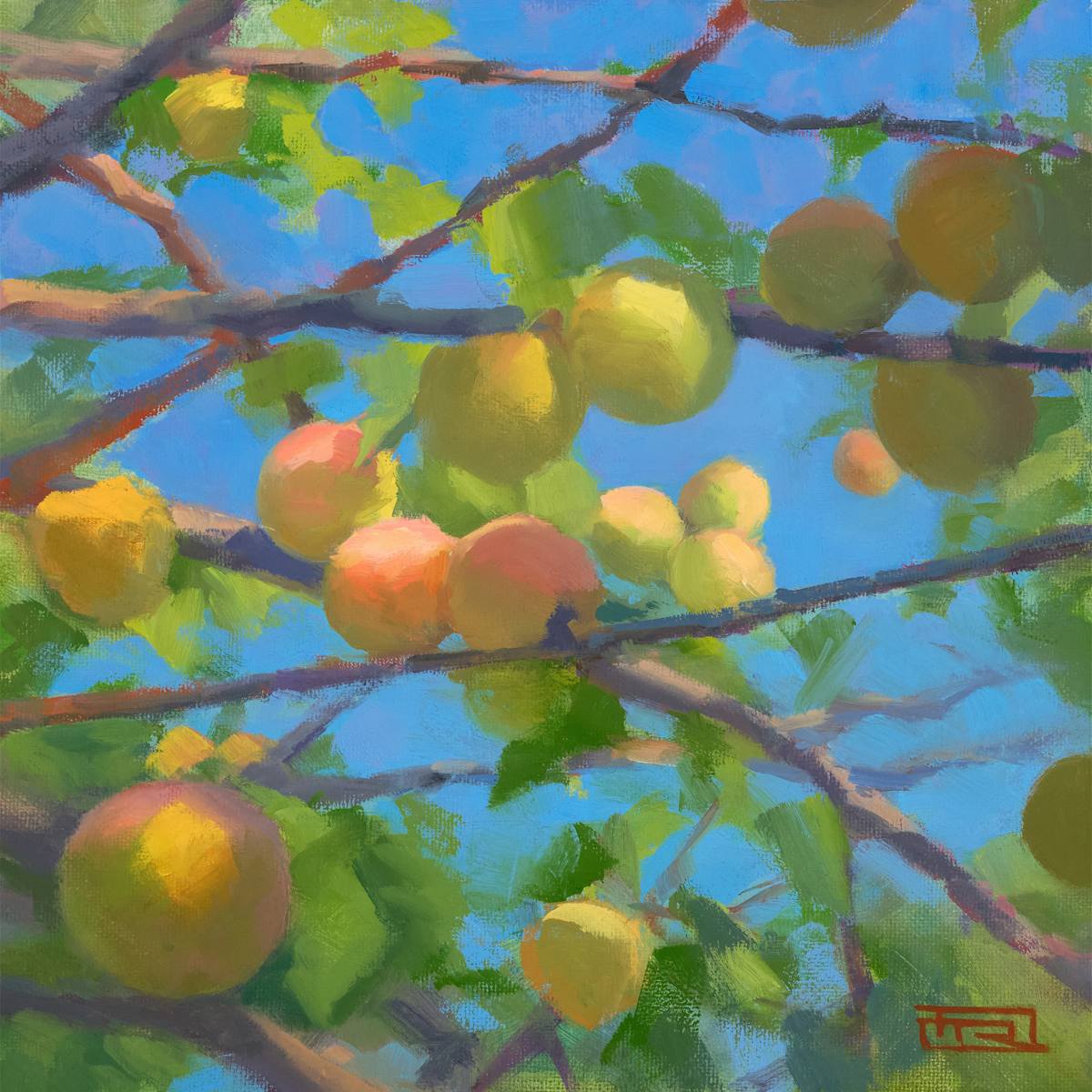 Petaluma Peaches by Dan Rogers, Image 1.